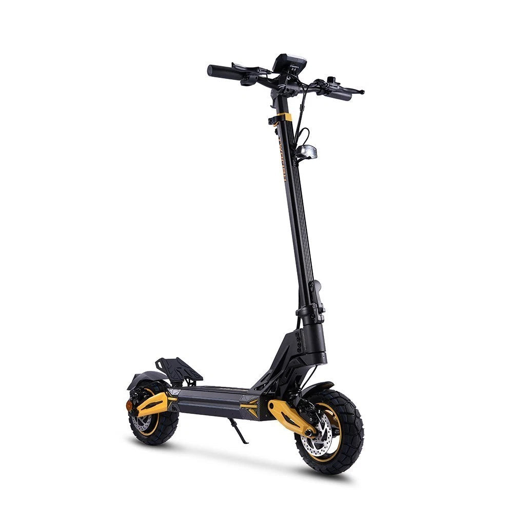 TWOFISH V2 MAX 10in Foldable Off Road Electric Scooter 48V 800w