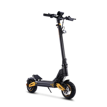 TWOFISH V2 MAX 10in Foldable Off Road Electric Scooter 48V 800w