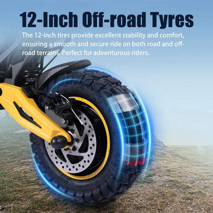 TWOFISH TW4 PRO Foldable Off Road Electric Scooter 60v 2000w